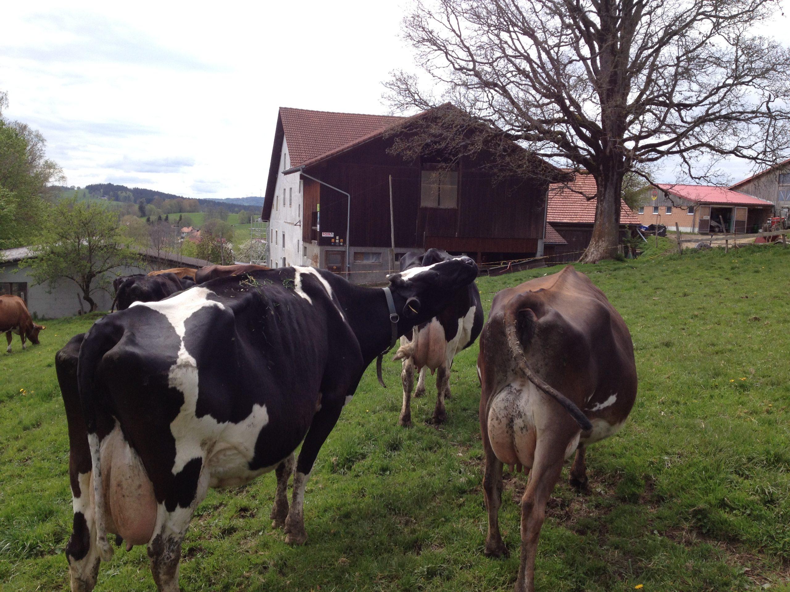 Vorschaubild: News