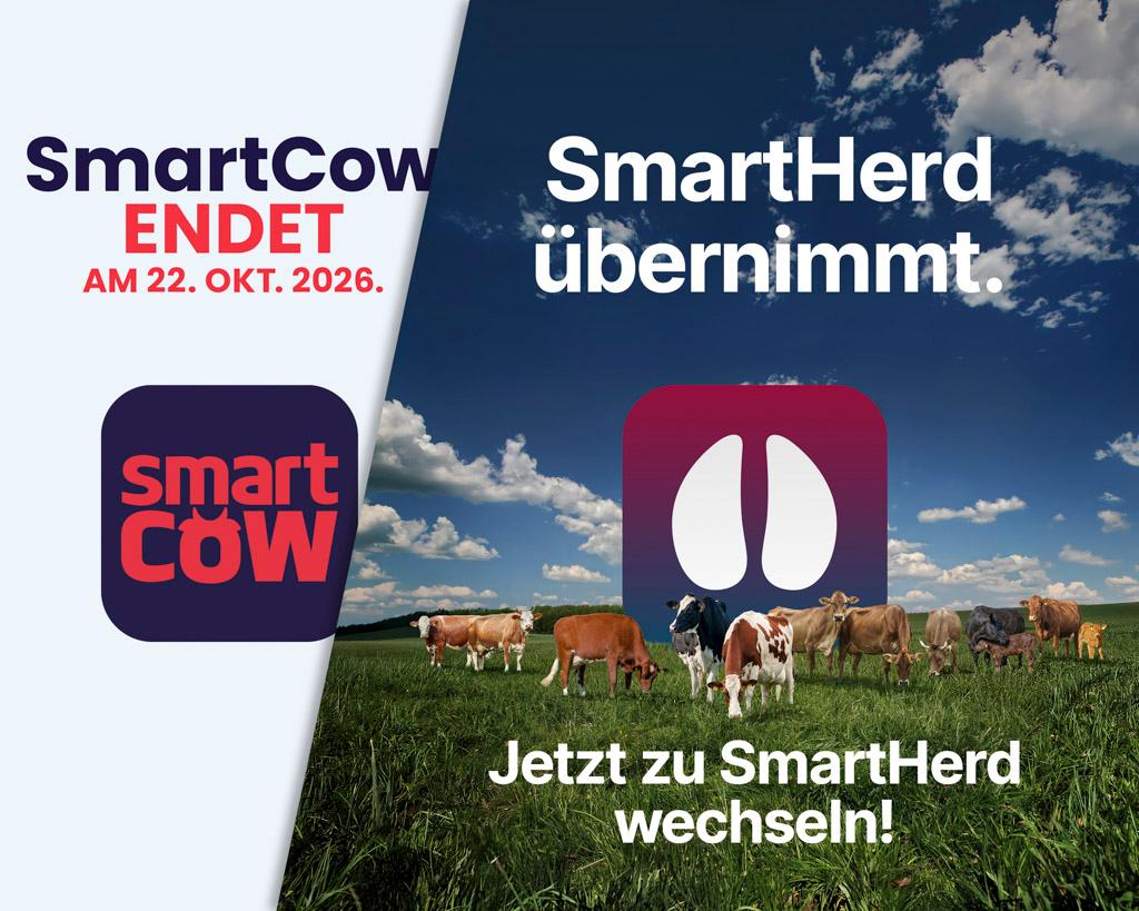 SmartCow wird am 22. Oktober 2026 eingestellt. Wechseln Sie jetzt zu SmartHerd für Herdenmanagement auf Smartphone, Tablet und PC – direkt im Browser verfügbar.