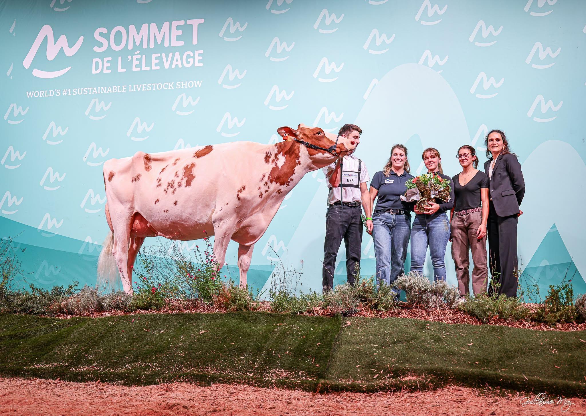 Swissgenetics vertiefte am Sommet de l’Élevage internationale Partnerschaften. Töchter ihrer Stiere erzielten bei Holstein und Brown Swiss zahlreiche Spitzenresultate.