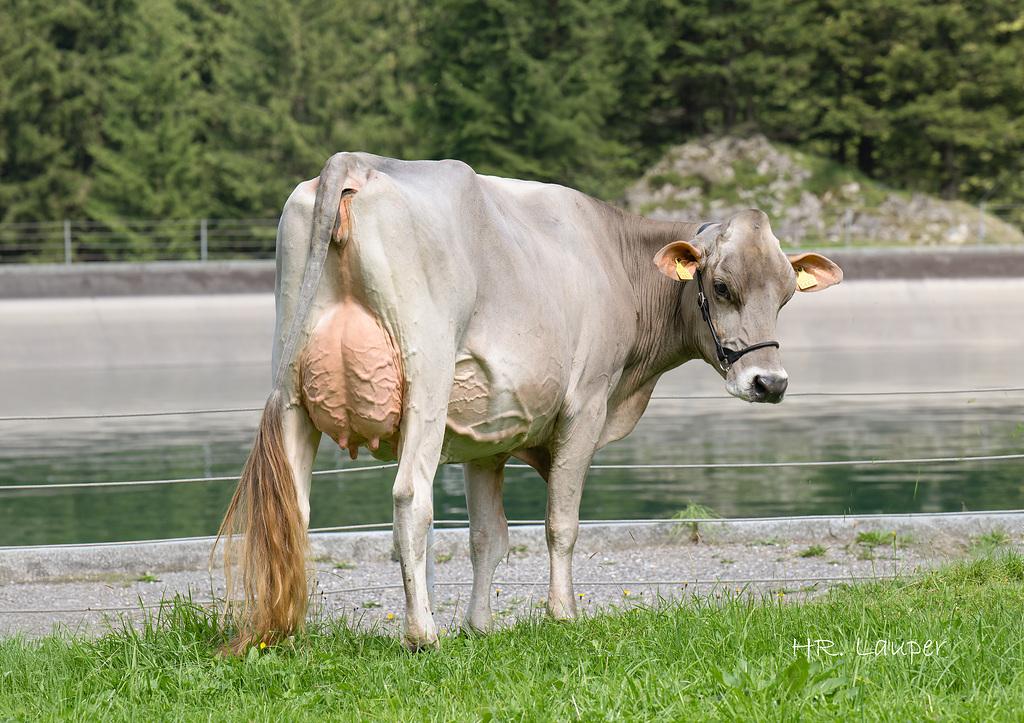 Vorschaubild: News