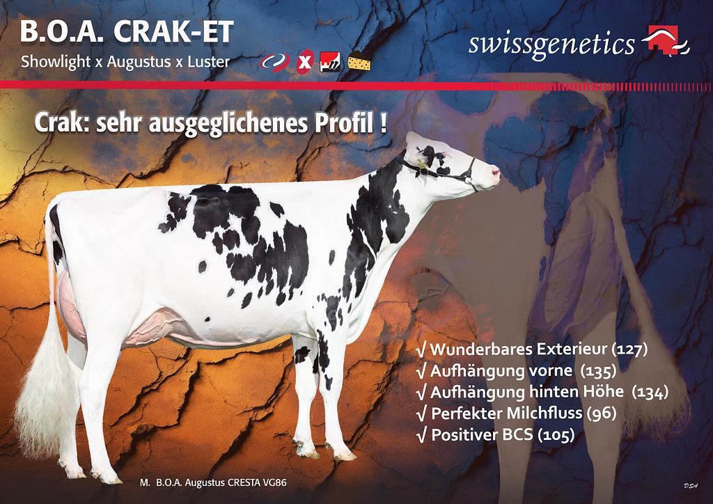 Vorschaubild: News