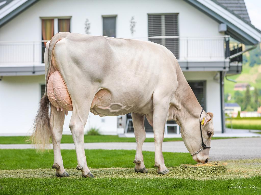 Vorschaubild: News