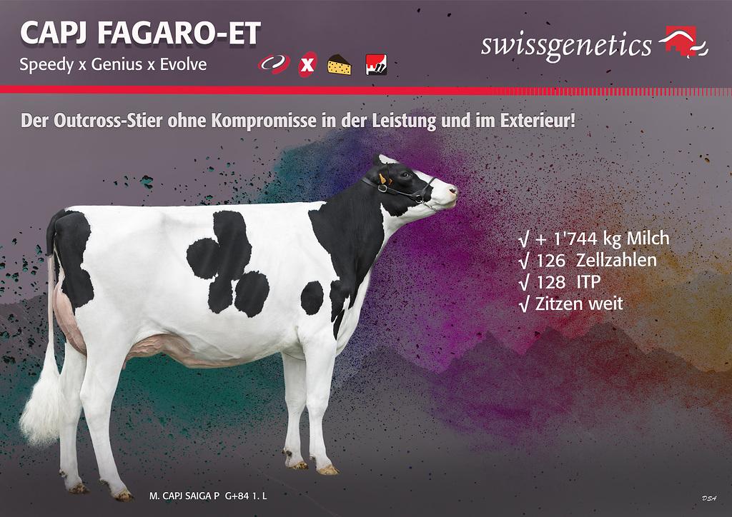 Vorschaubild: News