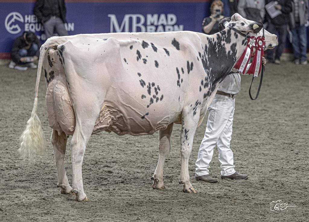 Grossmutter: Erbacres Snapple SHAKIRA EX