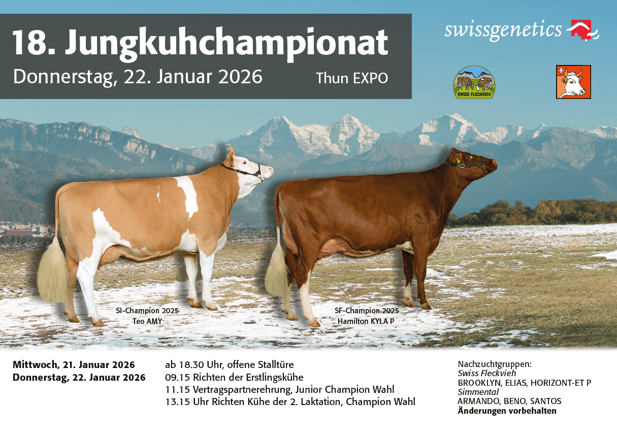 Das 18. Jungkuhchampionat fand am 22. Januar 2026 in der EXPO Thun statt. Die Rangliste ist nun online verfügbar.