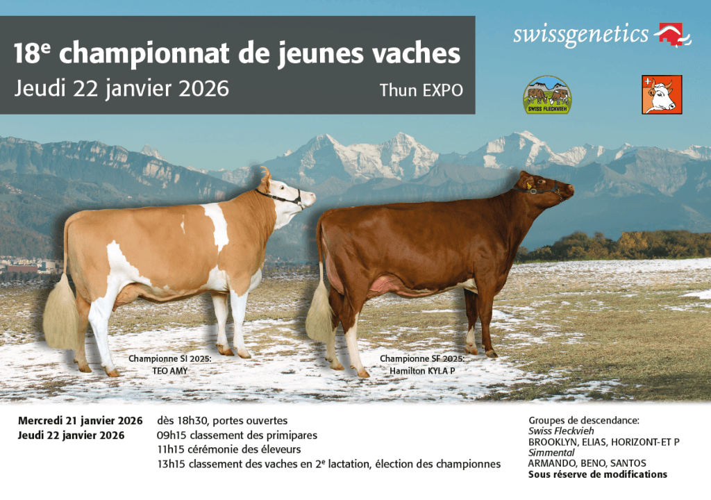Le 18e championnat de jeunes vaches s’est tenu le 22 janvier 2026 à EXPO Thoune. Les classements de la manifestation sont désormais disponibles en ligne et téléchargeables.