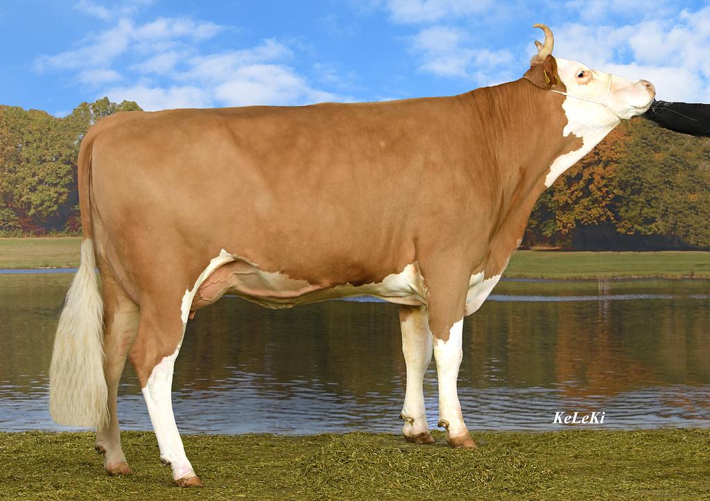 Junior Schöneuter Champion: Amur GLORIA