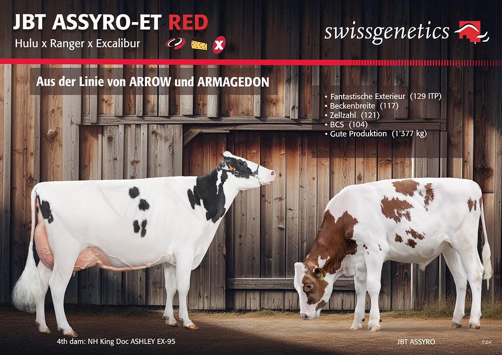 ASSYRO-ET vereint Milchleistung, Exterieur und Funktionalität mit starkem Pedigree und ist neu als SpermVital-Dose erhältlich.