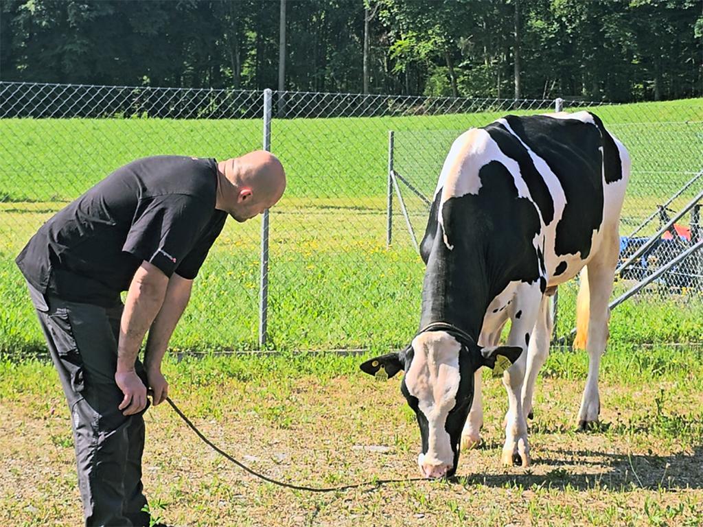 CONTIGO überzeugt international mit über 40’000 verkauften Dosen, Spitzenwerten bei TPI und LPI sowie Töchtern mit Top-Indexzahlen in Europa. Seine starke Familie und das komplette Profil machen ihn zum gefragten Vererber weltweit.