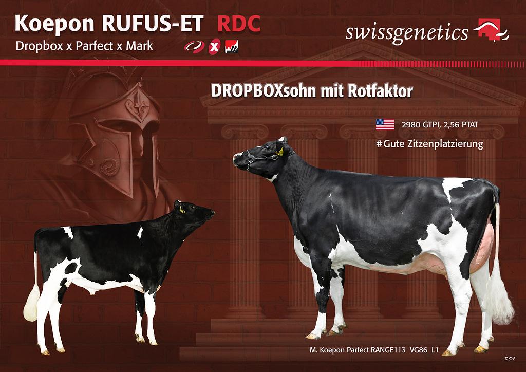 Vorschaubild: News