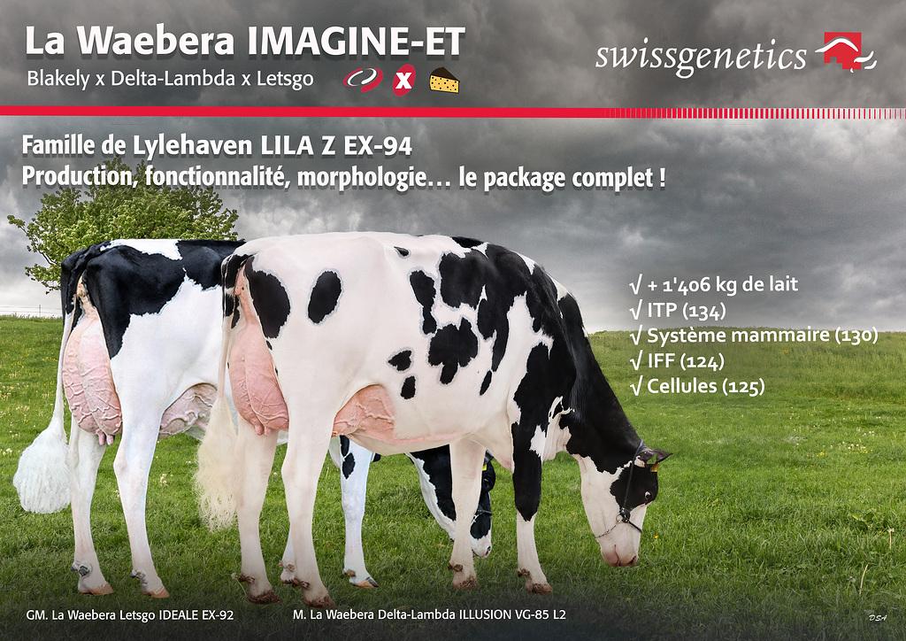Vorschaubild: News