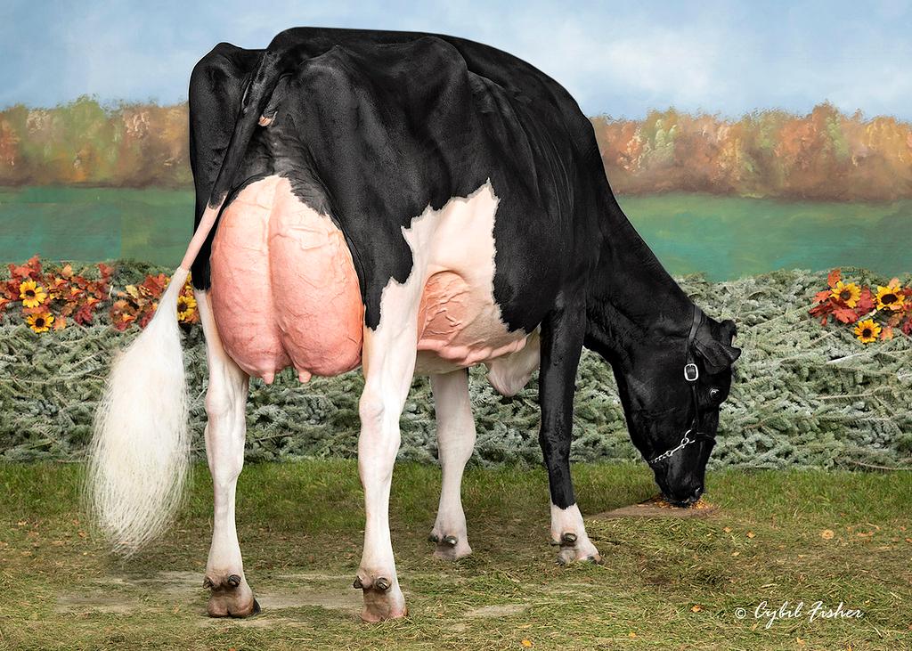 Vorschaubild: News