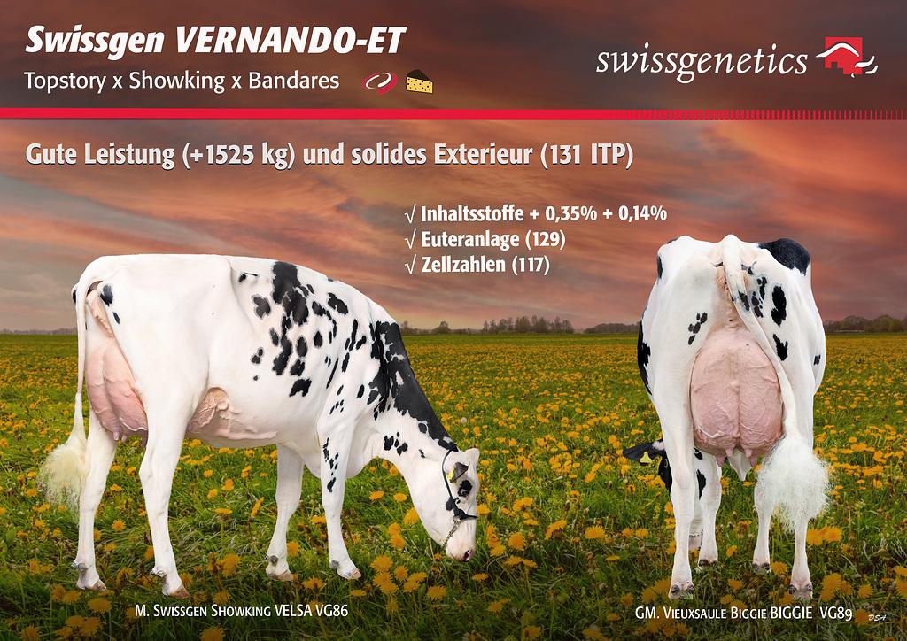 Swissgen VERNANDO
