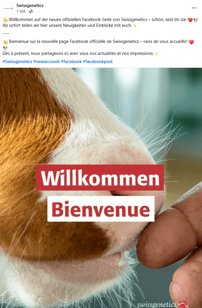 Vorschaubild: News