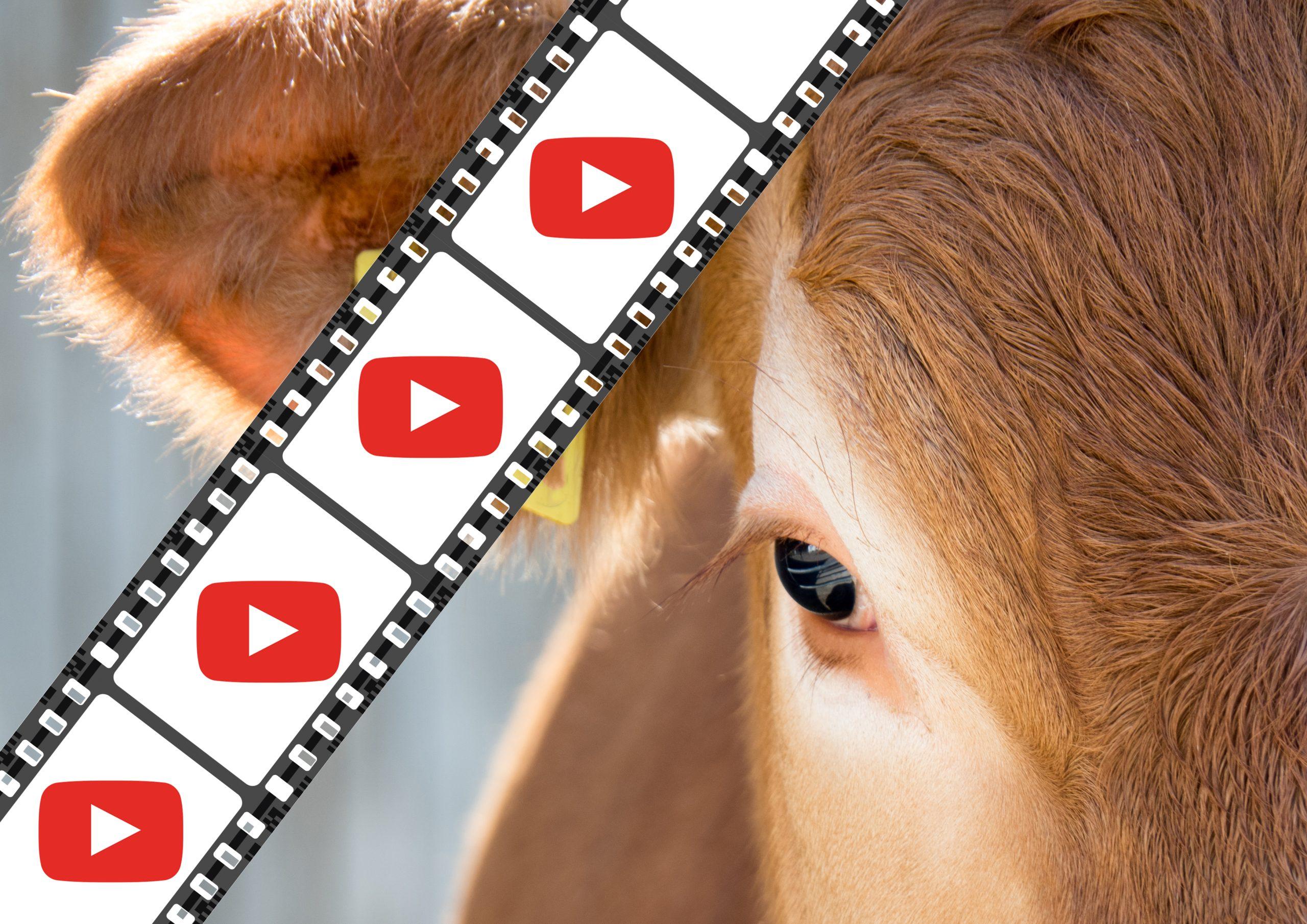 Vidéo – Manipulation de la dose de semence Vorschaubild: News